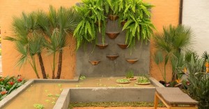 Fotos coqueiros para jardins pequenos 