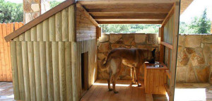 Dicas e fotos de Casinha de cachorro 6
