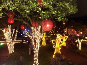 Dicas Enfeites de Natal para Jardim 13