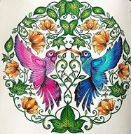 livro de colorir antiestresse