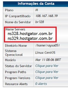 Configurar DNS do Domínio da Hostgator 3