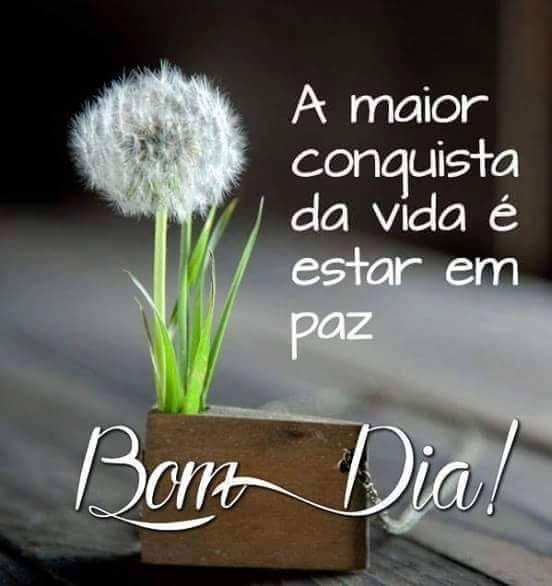 Mensagens Lindas De Bom Dia Para Facebook E Whatsapp