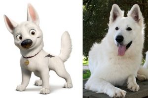 raças dos cachorros dos desenhos animados