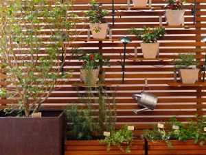 mini horta com parede de madeira