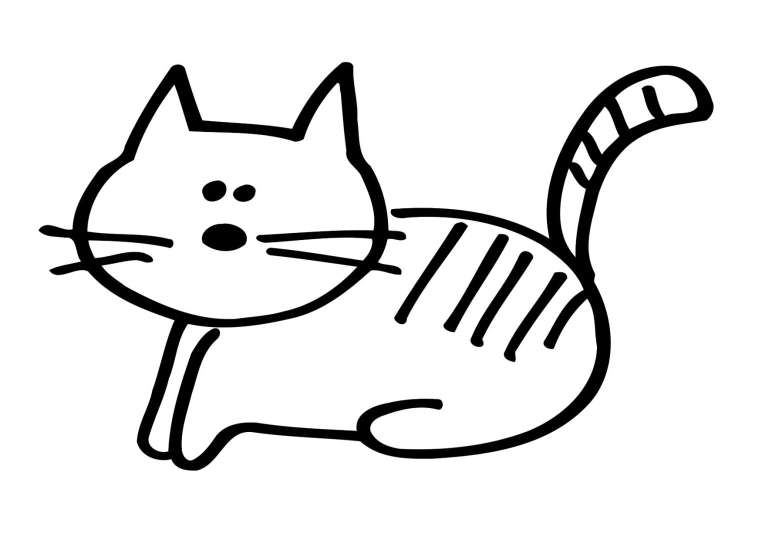 Desenho de gato para colorir pintar