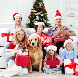 Mensagem de natal para amigos e familia