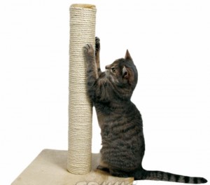 Como Fazer Um Arranhador Para Gatos