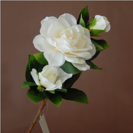 Fotos de Gardenia Arranjos e Enfeites