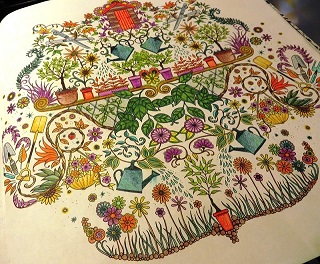 livro de colorir antiestresse