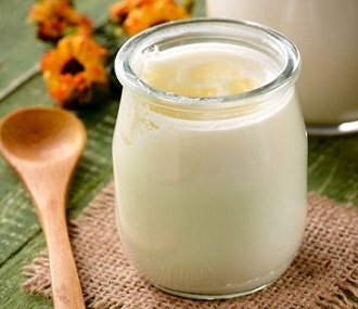 onde comprar kefir